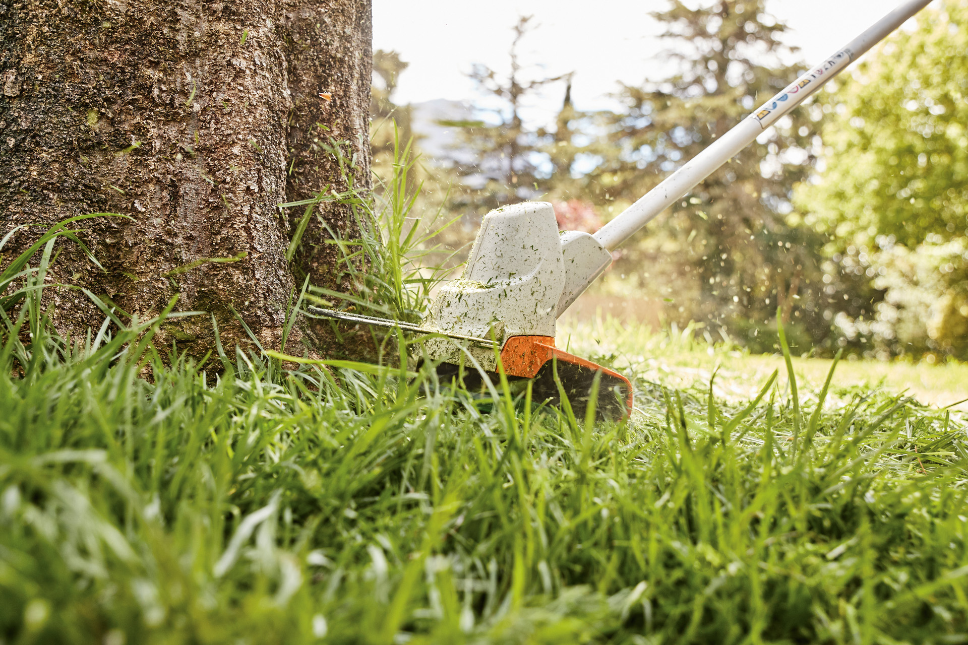 Przycinanie krawędzi trawnika wokół drzewa za pomocą kosy mechanicznej STIHL FS 57