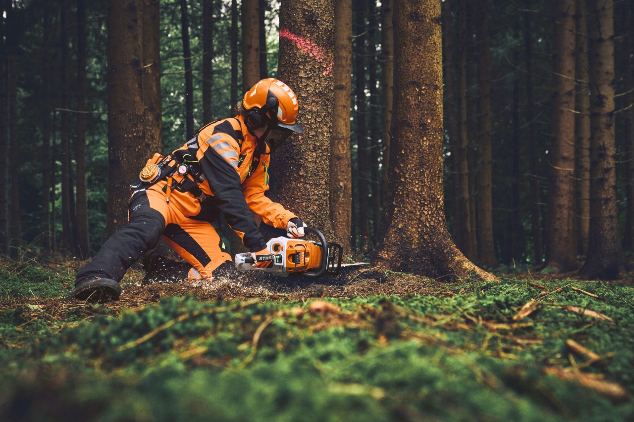 Pracownik leśny ubrany w środki ochrony indywidualnej STIHL przycina drzewo w lesie za pomocą akumulatorowej pilarki łańcuchowej STIHL.