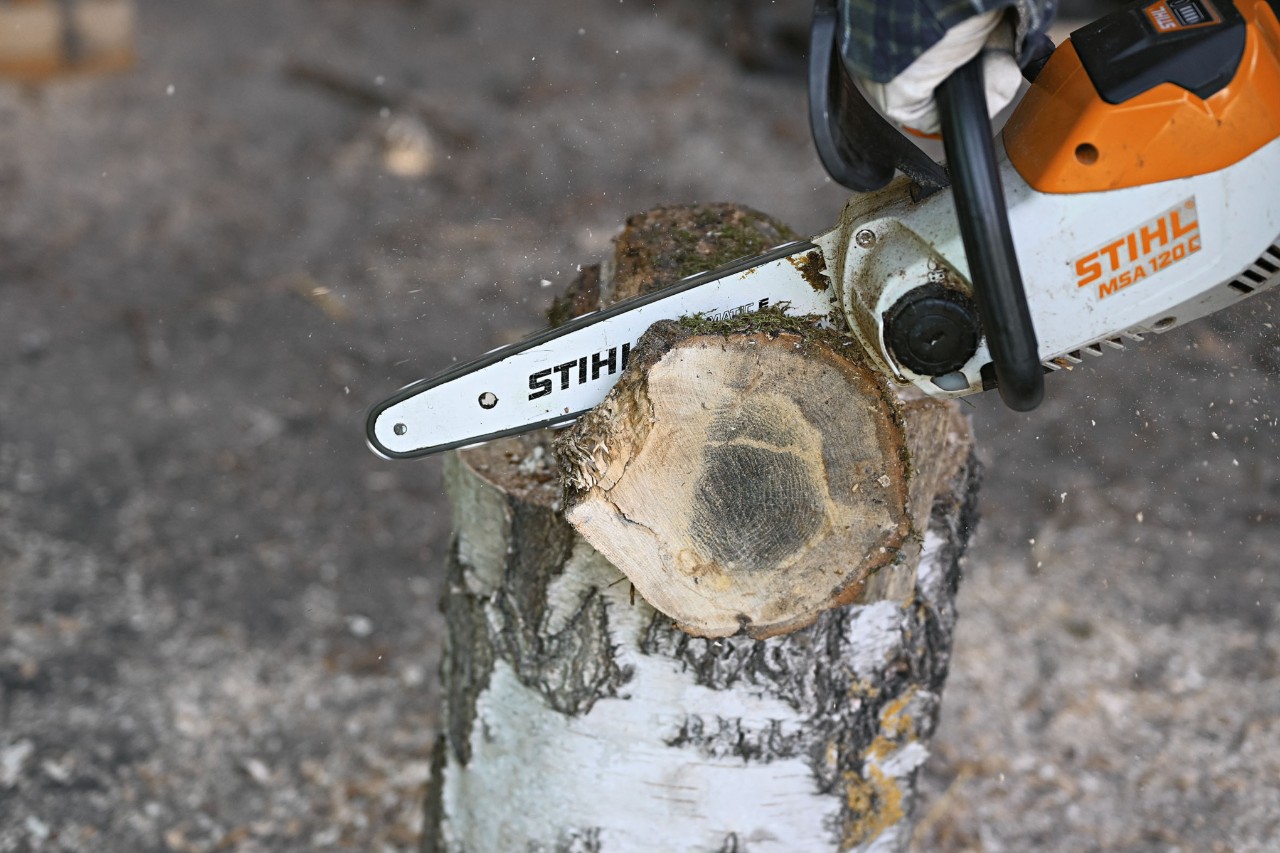 Zbliżenie na akumulatorową pjilarkę łańcuchową STIHL MSA 120 przecinającą fragment pnia