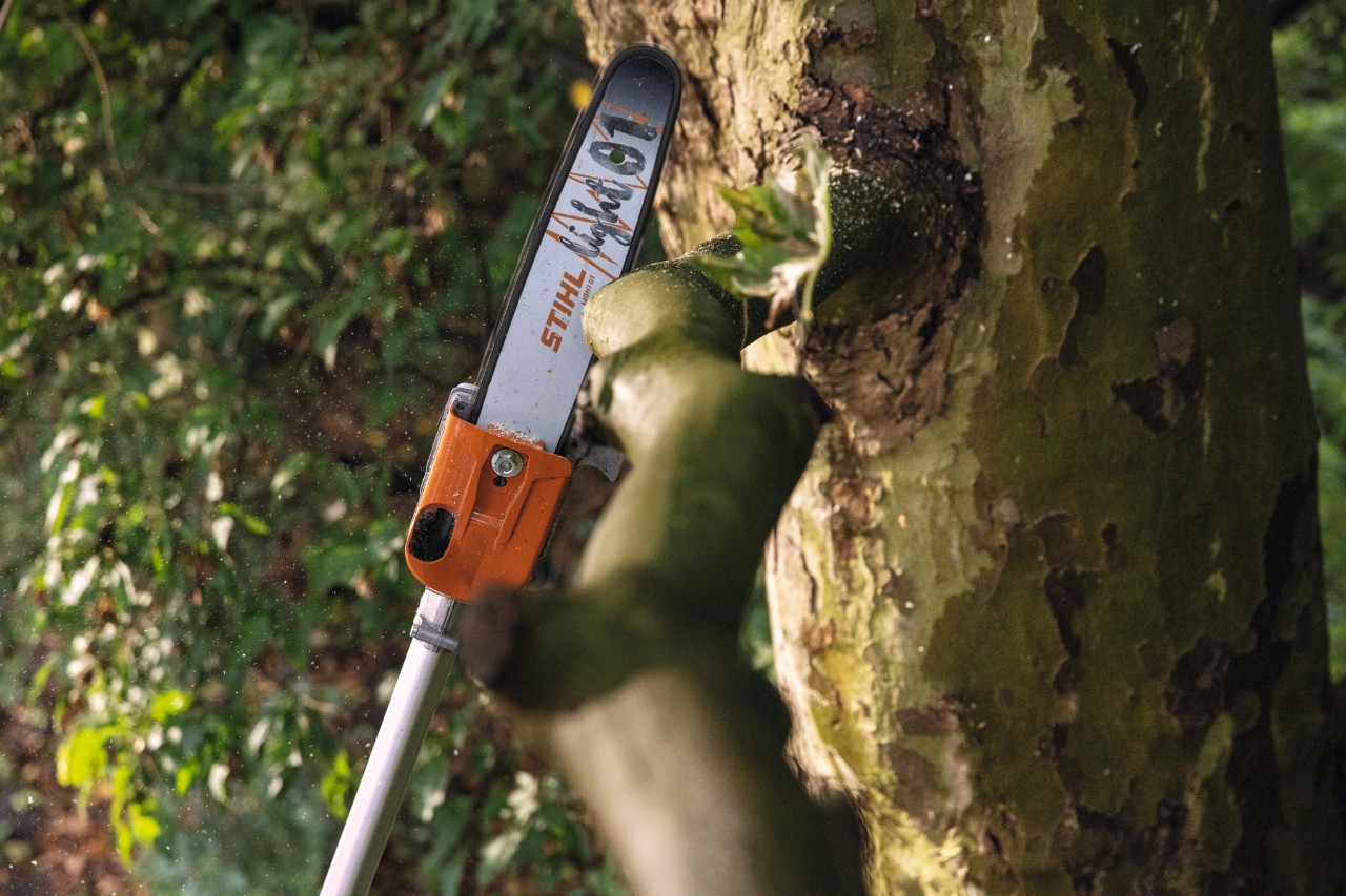 Cięcie gałęzi na wysokości podkrzesywarką STIHL HTA 135