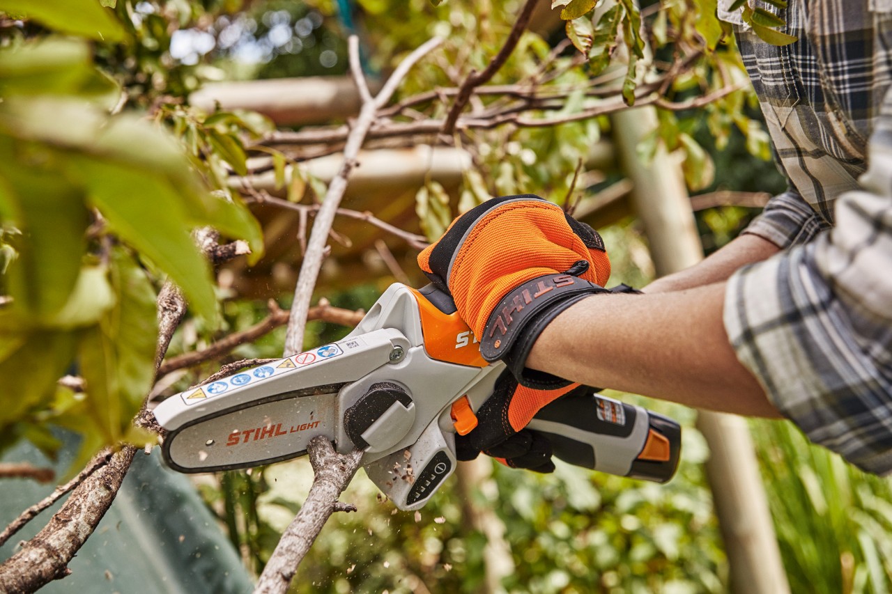 Bei Gartenarbeiten im Oktober werden abgestorbene Äste mit dem STIHL Akku-Gehölzschneider GTA 26 abgeschnitten.