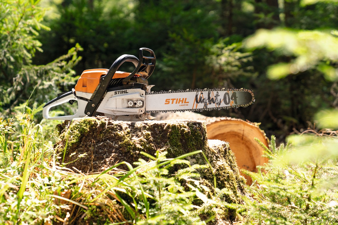 Benzynowa pilarka łańcuchowa STIHL MS 261 C-M na pniu drzewa w lesie