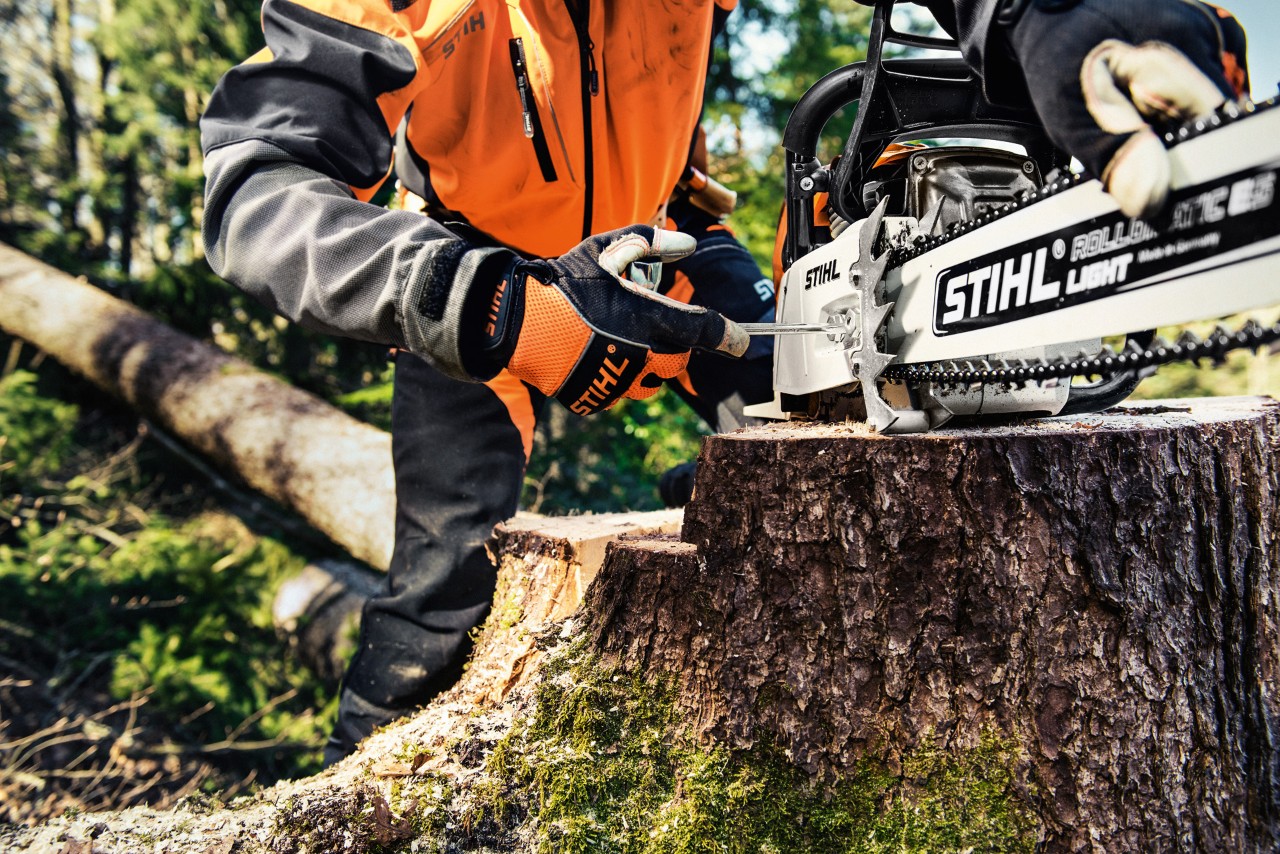 Pilarka łańcuchowa STIHL MS 461 na pniu drzewa, za nią osoba w odzieży ochronnej