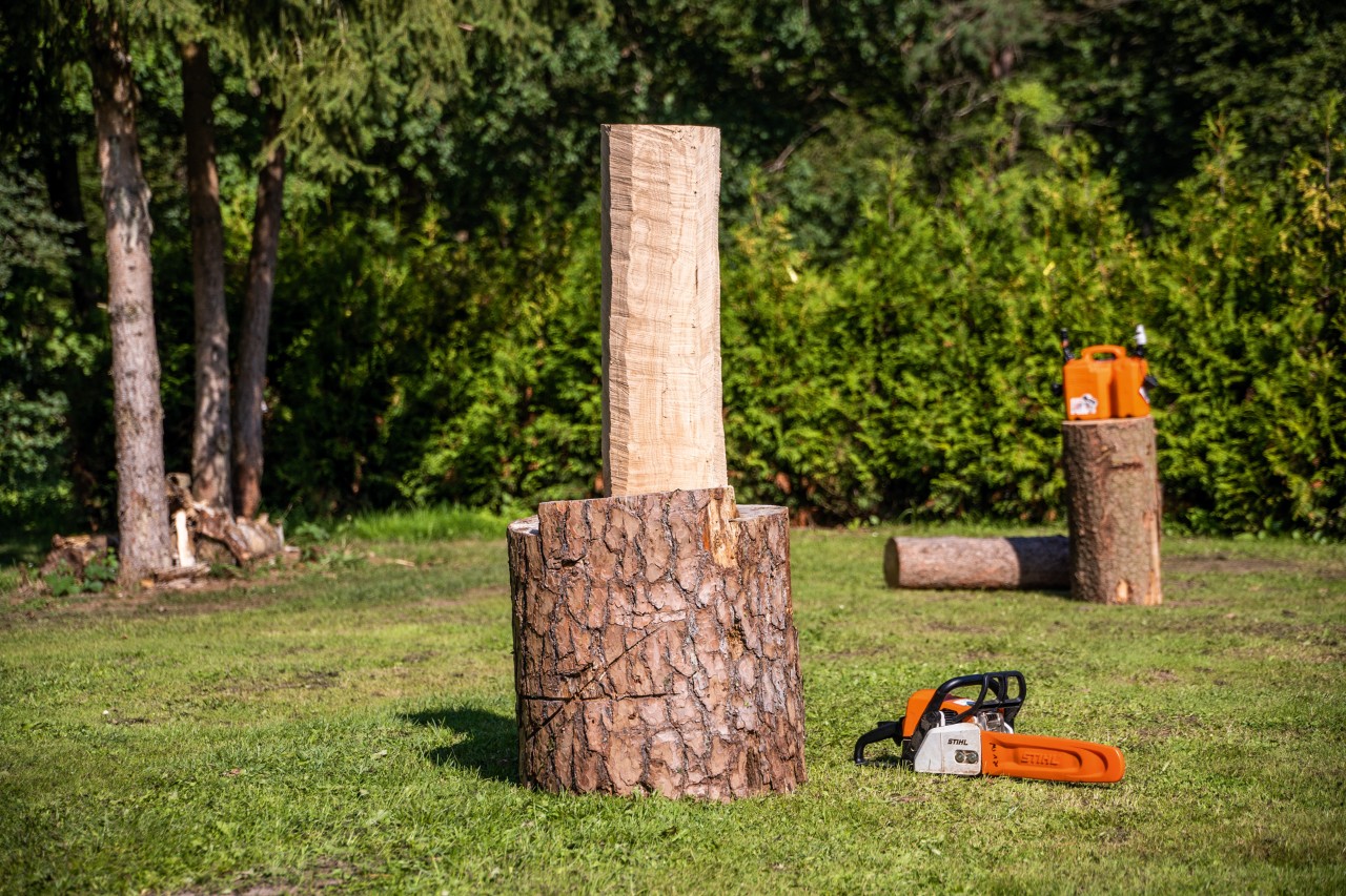 Okorowany pień na cokole, obok pilarka łańcuchowa STIHL z zestawem do carvingu