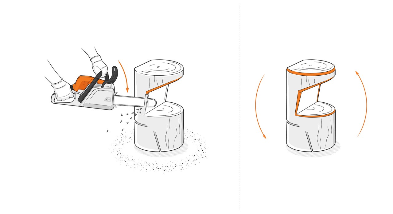 Ilustracja: Na cokole wykonywane są cięcia oczyszczające pilarką łańcuchową STIHL