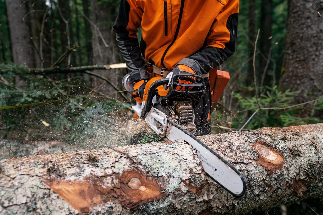 Benzynowa piła łańcuchowa STIHL MS 400 C-M z tłokiem magnezowym podczas cięcia powalonych pni drzew na ziemi