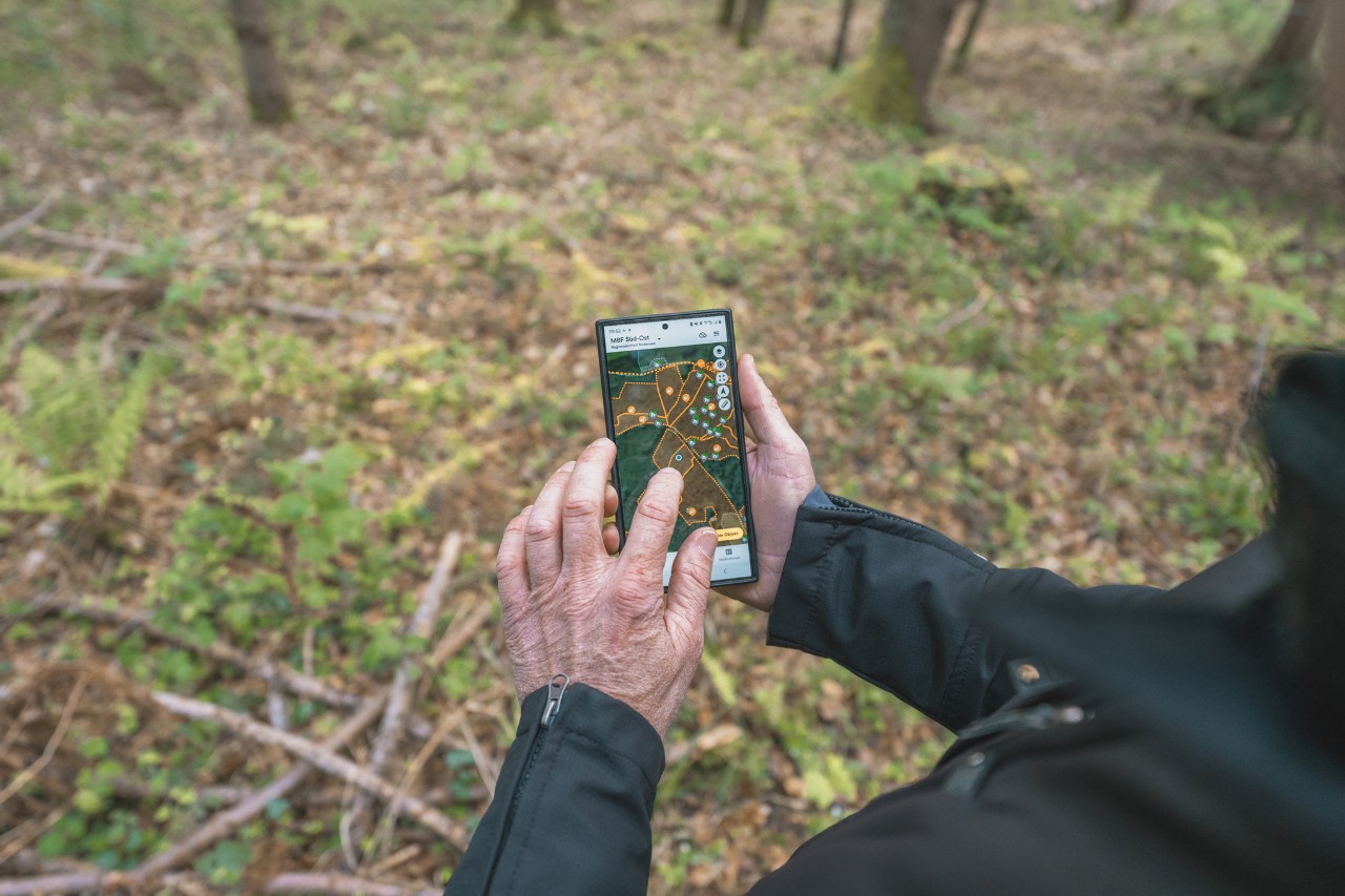 Zbliżenie na mężczyznę trzymającego w dłoni telefon komórkowy z mapą obszaru leśnego z zaznaczonymi punktami