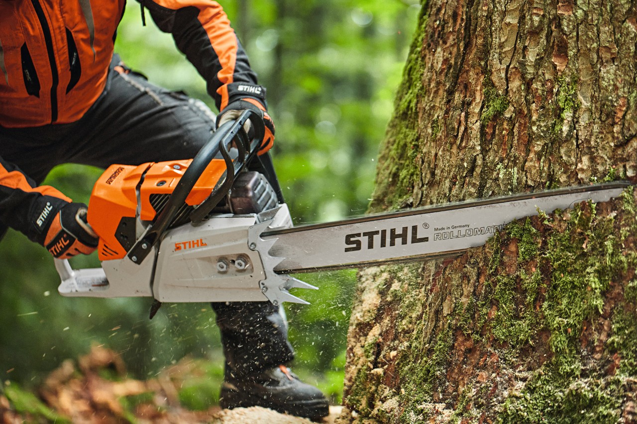 Osoba tnąca drzewo za pomocą benzynowej pilarki łańcuchowej STIHL MS 881 z prowadnicą czołową